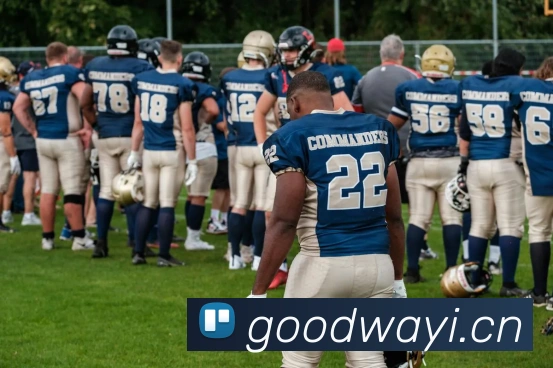 星空app网页登录入口发展历程